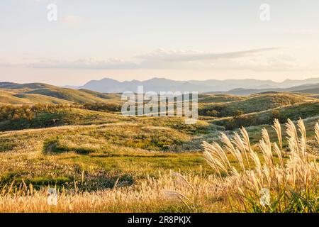 Akiyoshidai Foto Stock