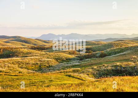 Akiyoshidai Foto Stock