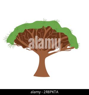 Disegno a mano colorato African Dragon blood tree Vector illustrazione isolata su sfondo bianco Illustrazione Vettoriale