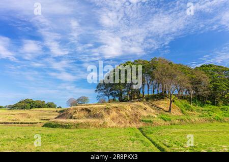 Ninomaru Demaru alle rovine del castello di Harajo Foto Stock