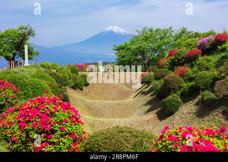 Rovine del castello di Yamanaka e il monte Foto Stock