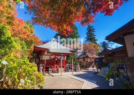 Daishido Hall e le foglie autunnali a Takao Yakuoin Foto Stock