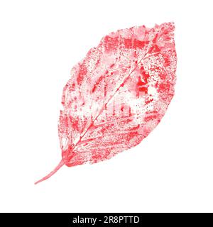 Foglia rosa astratta isolata su sfondo bianco. Illustrazione ad acquerello dell'impronta autunnale di foglie per decorazione erbario, stampe, poster, texture Foto Stock