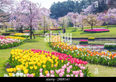 Hamamatsu Flower Park Foto Stock