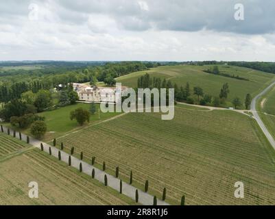 Cantina nei vigneti intorno alla città di Bordeaux. Foto Stock