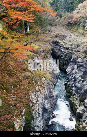 Takachiho Gorge in autunno Foto Stock