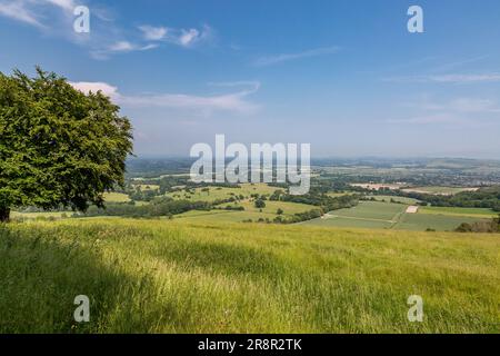 Vista sulla campagna del Sussex da Chanstonbury Hill, in una soleggiata giornata estiva Foto Stock