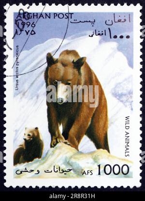 AFGHANISTAN - CIRCA 1996: Un francobollo stampato in Afghanistan mostra l'orso bruno europeo (Ursus arctos arctos), animale, circa 1996 Foto Stock
