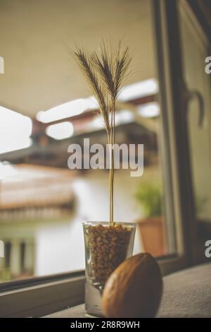 grano, semi di grano in vetro e semi di avocado combinati in un'unica decorazione Foto Stock