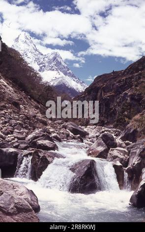 Viste sulle montagne del Nepal dal 1977 e immagini del Rhinocero nepalese. Foto Stock