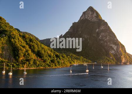 Petite Piton nei pressi di Soufriere, St. Lucia, West Indies Foto Stock