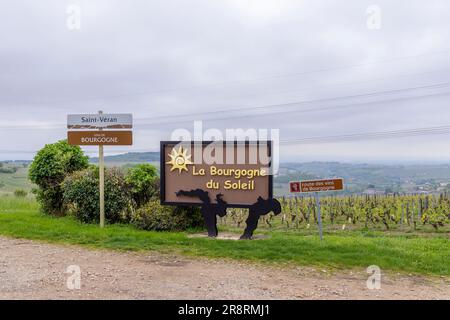 Strada del vino vicino a Saint-Veran e Macon, Borgogna, Francia Foto Stock