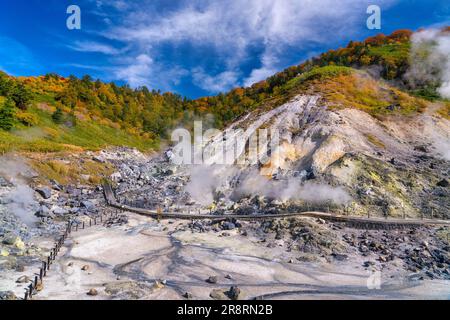 Le terme calde di Tamagawa in autunno Foto Stock