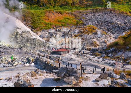 Le terme calde di Tamagawa in autunno Foto Stock