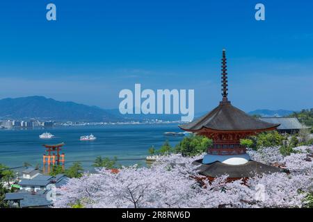 Santuario Itsukushima di Sakura Foto Stock