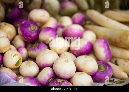 Radici di rapa esposte per la vendita alla greengrocery Foto Stock