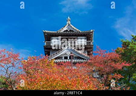 Castello di Maruoka in autunno Foto Stock