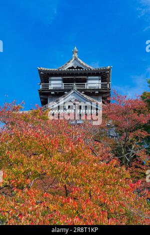 Castello di Maruoka in autunno Foto Stock