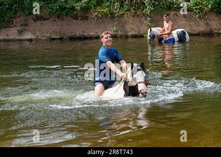 Due giovani uomini e cavalli che fanno il bagno nel fiume eden ogni anno appleby Travellers si esibiscono in una tradizionale fiera ippica nel giugno 2023 in cumbria. Foto Stock