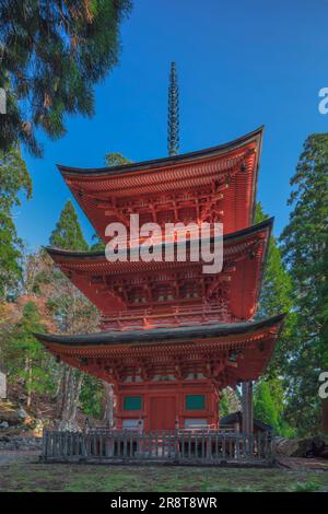 Pagoda a tre piani del Santuario Meikusa in autunno Foto Stock