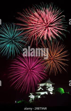 Castello di Inuyama e fuochi d'artificio Foto Stock