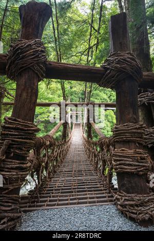 Ponte Iya Kazura Foto Stock