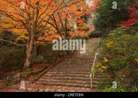 Tempio Muroji in autunno Foto Stock