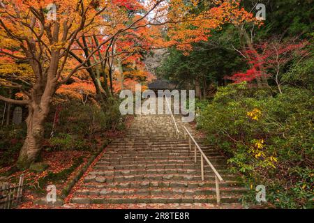 Tempio Muroji in autunno Foto Stock