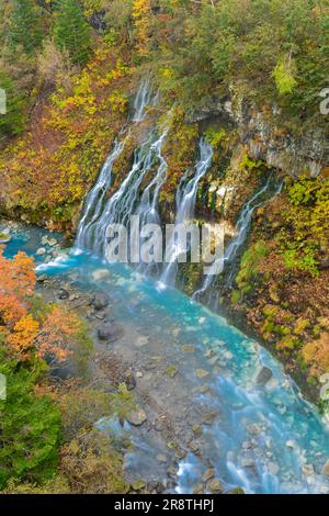 Cascata Shirahige in autunno Foto Stock