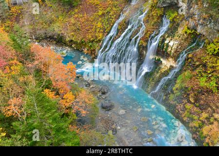 Cascata Shirahige in autunno Foto Stock