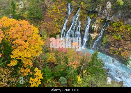 Cascata Shirahige in autunno Foto Stock