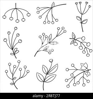Set di icone vettoriali a linee botaniche di frutti di bosco o fiori diversi Illustrazione Vettoriale