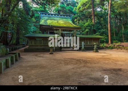 Kashima Jingu Okumiya Foto Stock