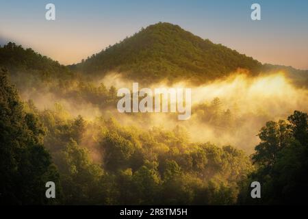 Luce del sole mattutina e nella Valle di Cataloochee Foto Stock