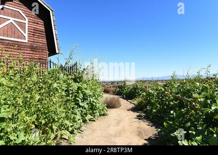 HUNTINGTON BEACH, CALIFORNIA - 02 marzo 2023: Edificio del Newland House Museum Barn e Bartlett Park Trail Foto Stock