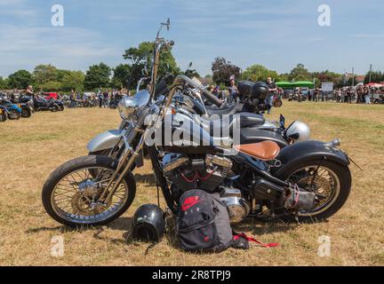 Una fila di motociclette allineate in un campo a un rally motociclistico. Una Harley Davidson con barre di impugnatura Ape Hanger. Foto Stock