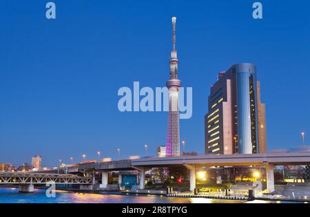 Vista notturna dell'ufficio del quartiere di Sumida e del Tokyo Sky Tree Foto Stock