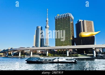 Tokyo Sky Tree e barca turistica Foto Stock