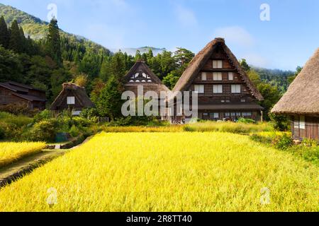 Autunno di Shirakawago in mattinata Foto Stock