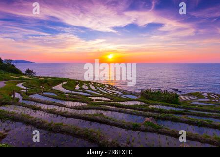 Il sole che tramonta a Shiroyonesenmaida Foto Stock