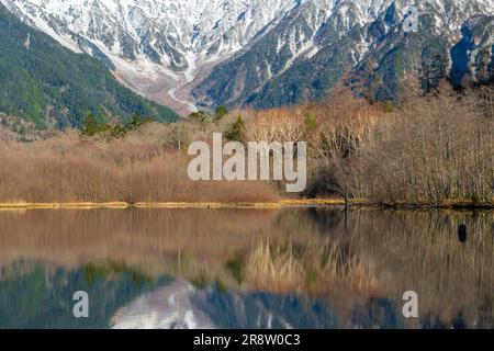 Taisho Pond a fine autunno Foto Stock