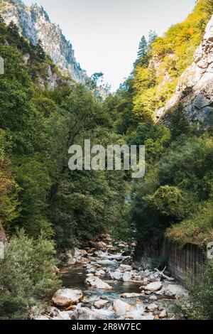 Il fiume Lumbardhi i Pejës (Peja Bistrica) scorre attraverso uno stretto canyon boscoso nel Parco Nazionale di Bjeshkët e Nemuna, in Kosovo Foto Stock