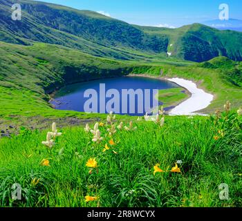 Alpine Flora e il lago Chokaiko Foto Stock