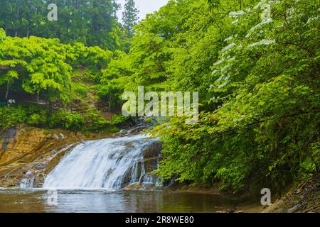 Cascate di Awamata nella gola di Yoro Foto Stock