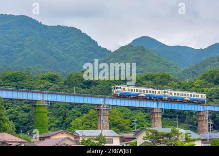 Gono-Line e Monti Shirakami Foto Stock