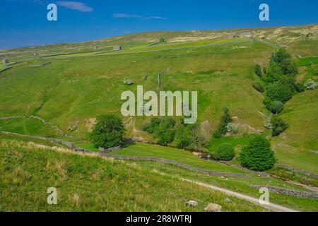 I ripidi lati della valle di West Sotnesdale vicino a Keld, Yorkshire Dales National Park. Foto Stock