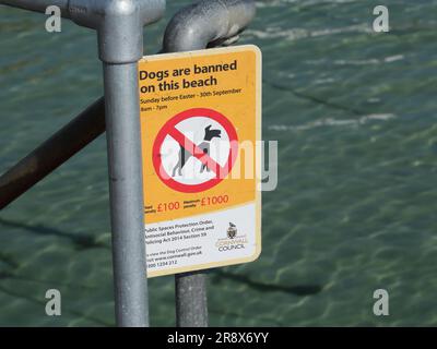 Un cartello che diceva i cani sono vietati da questa spiaggia eretto da St. Ives Consiglio Comunale, St. Ives, Cornwall, Regno Unito Foto Stock