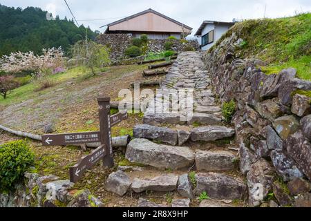 Kumano Kodo Foto Stock