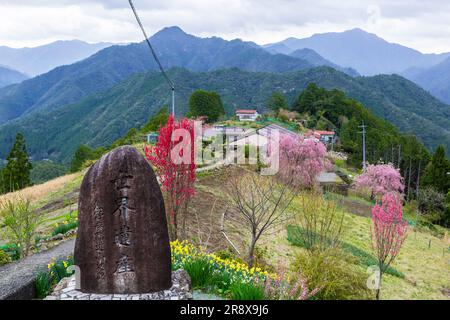 Kumano Kodo Foto Stock