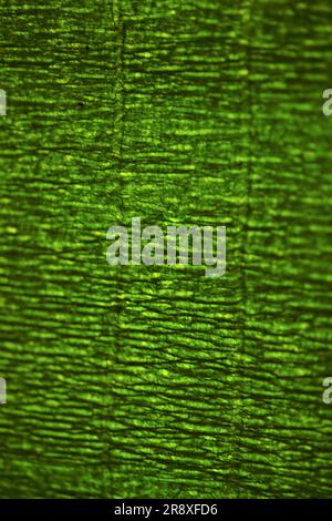 Sfondo verde intenso con onde scure. Foto Stock